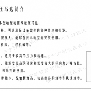 完美体育（中国大陆）官方网站
后油口系列马达