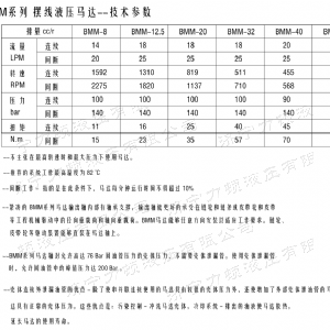 完美体育（中国大陆）官方网站
后油口系列马达